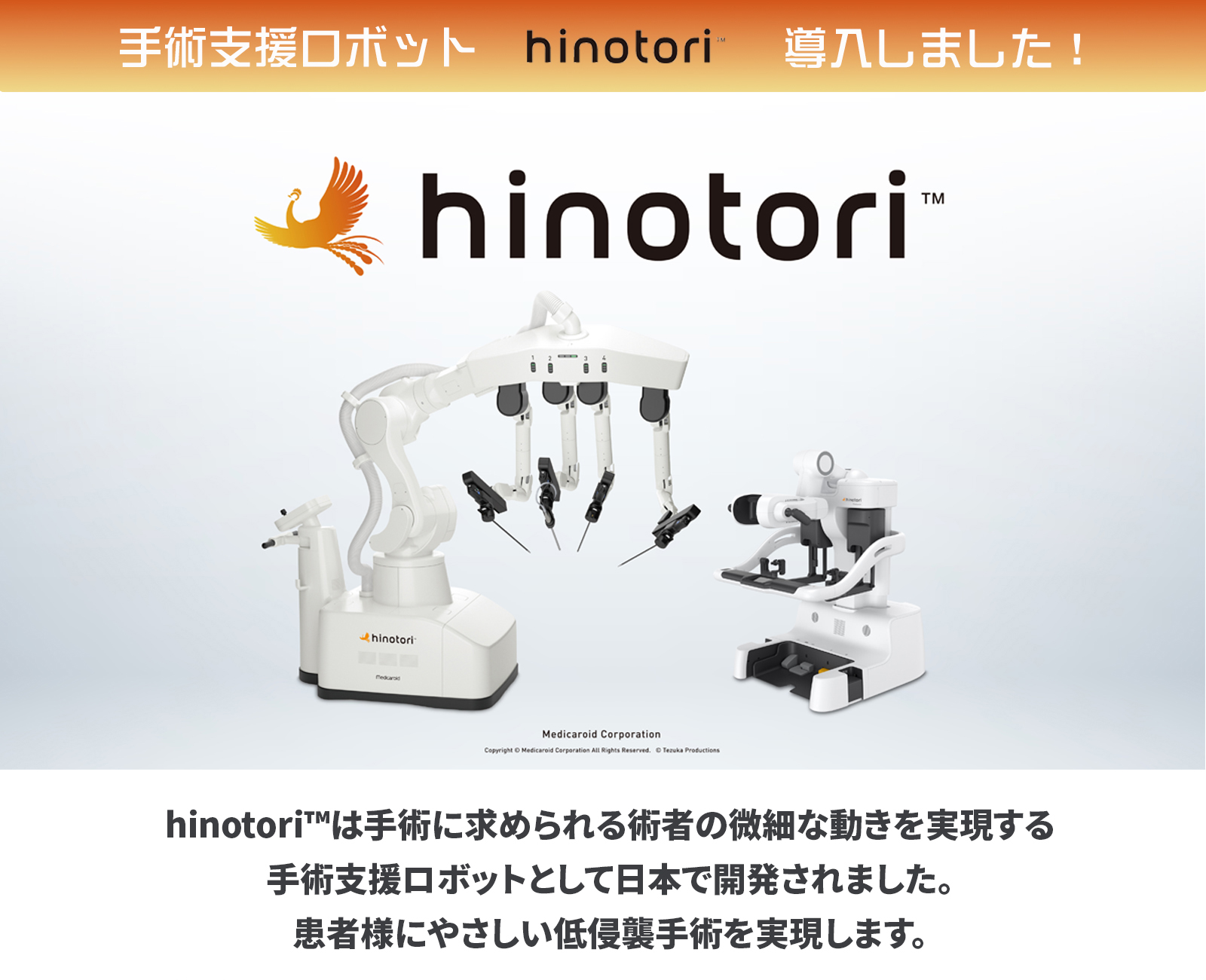 手術支援ロボットhinotori画像